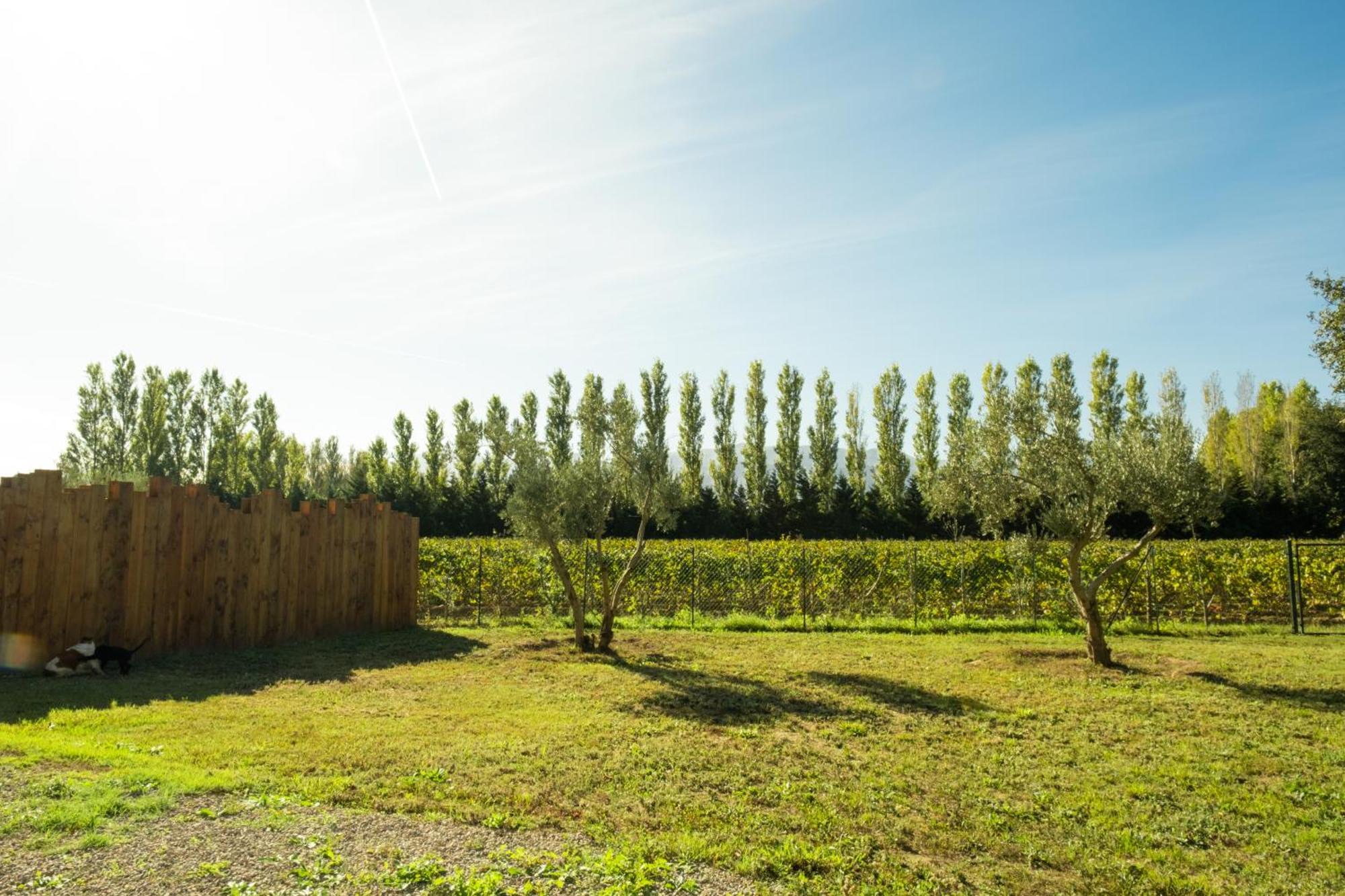 Domaine Saint Thomas Villa Argelès-sur-Mer Dış mekan fotoğraf